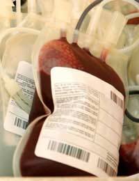 Career Donor Carer Blood Donation Safe